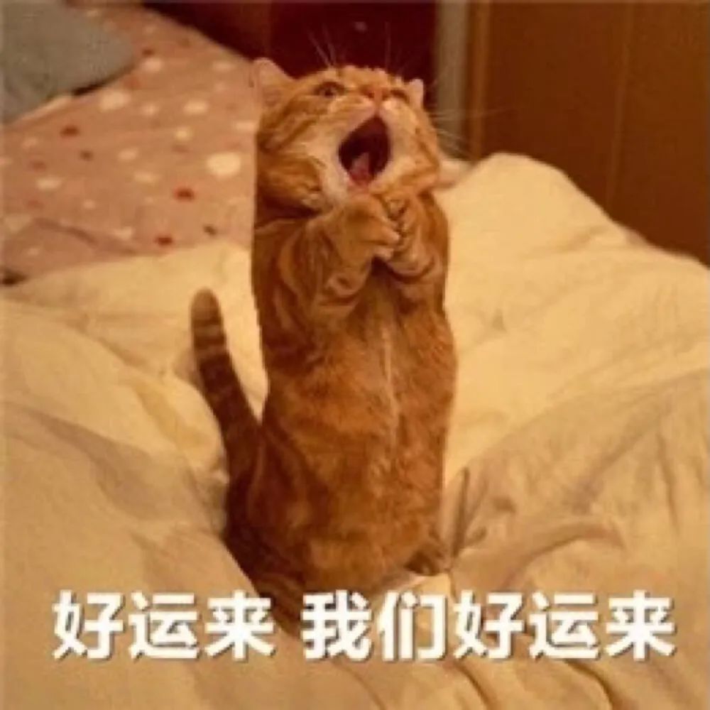 图片[10]-表情包-喜欢表情包分享—全网表情包
