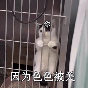 图片[5]-难道好色也有错嘛-喜欢表情包分享—全网表情包