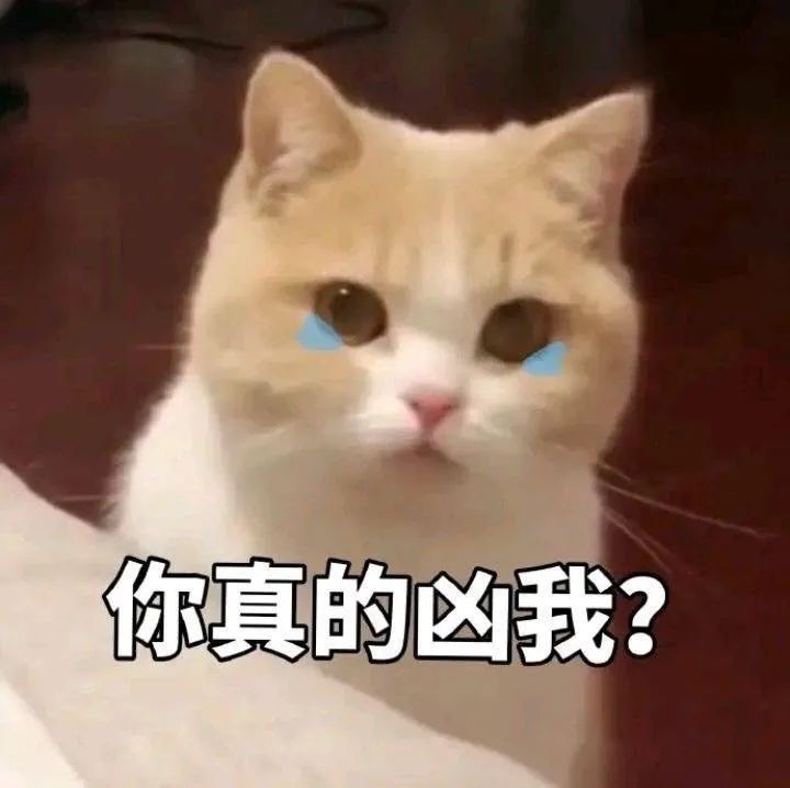 图片[8]-可爱的猫猫狗勾表情增加了-喜欢表情包分享—全网表情包