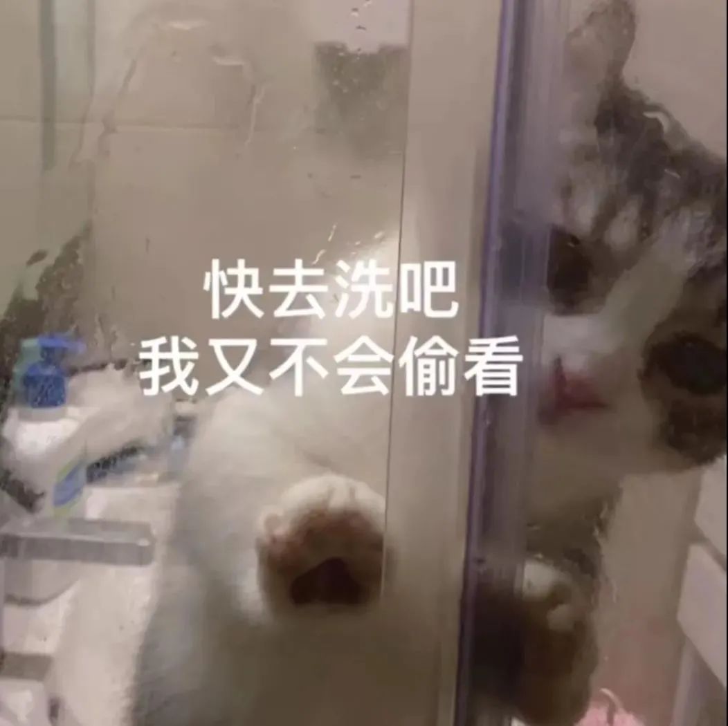 图片[5]-拿撸路多-喜欢表情包分享—全网表情包