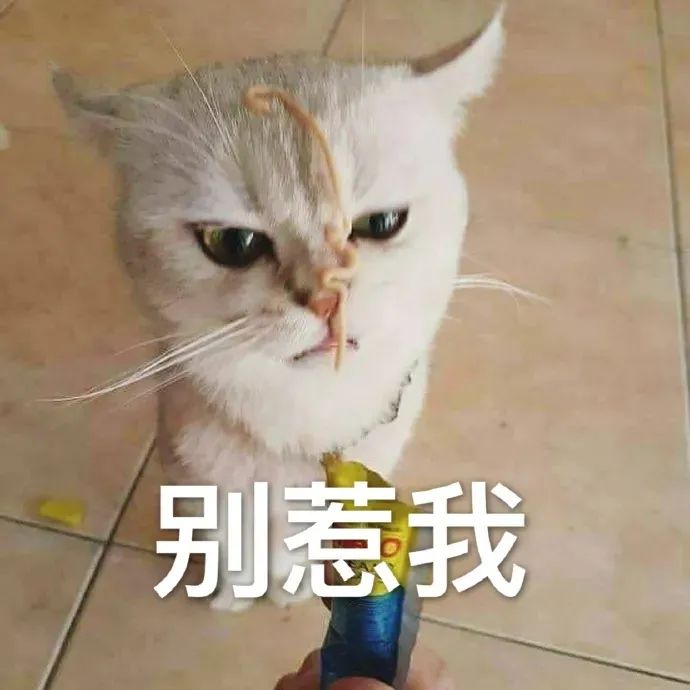 图片[22]-你们要的冰墩墩超火表情包-喜欢表情包分享—全网表情包