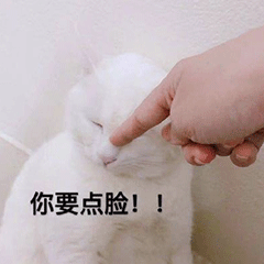 图片[22]-你要点脸-喜欢表情包分享—全网表情包