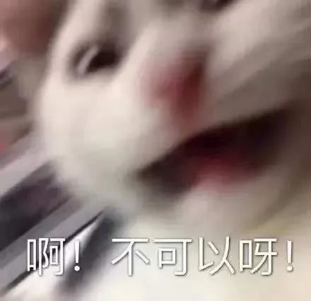 图片[9]-怎样在七夕前拿下你-喜欢表情包分享—全网表情包