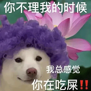 图片[13]-果然是在做羞羞的事啊-喜欢表情包分享—全网表情包