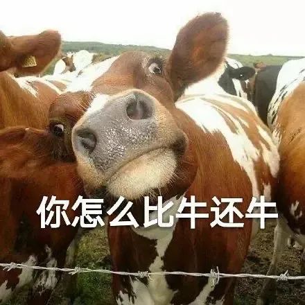 图片[13]-50个聊天阴阳怪气的表情包-喜欢表情包分享—全网表情包