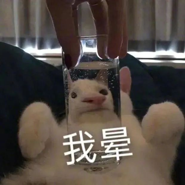图片[16]-不想学习不想上班-喜欢表情包分享—全网表情包