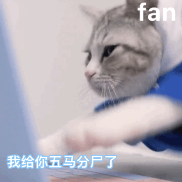 图片[38]-60个聊天可爱表情包-喜欢表情包分享—全网表情包