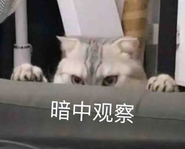 图片[13]-表情包-喜欢表情包分享—全网表情包
