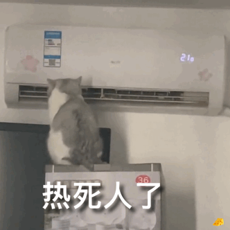 图片[6]-老实又芭蕉-喜欢表情包分享—全网表情包