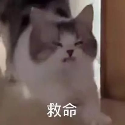 图片[10]-建议想啪啪啪都进来看看，自己的精子有没有这些问题！-喜欢表情包分享—全网表情包