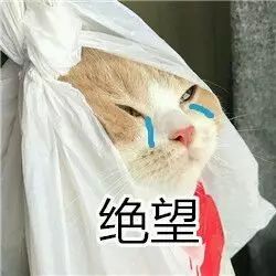 图片[1]-表情包-喜欢表情包分享—全网表情包
