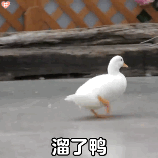 图片[52]-就你，给我看看你腹肌-喜欢表情包分享—全网表情包
