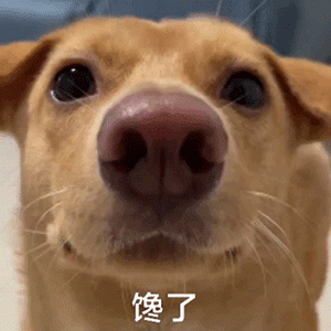 图片[4]-表情包-喜欢表情包分享—全网表情包