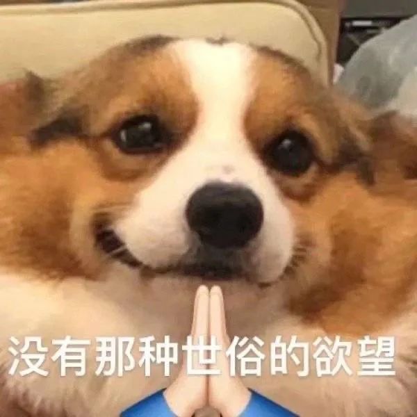 图片[4]-你好会哦-喜欢表情包分享—全网表情包