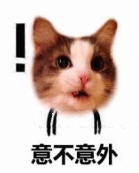图片[6]-女朋友说她是第一次，但没流血？-喜欢表情包分享—全网表情包