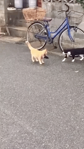图片[1]-【GIF】馋哭了-喜欢表情包分享—全网表情包
