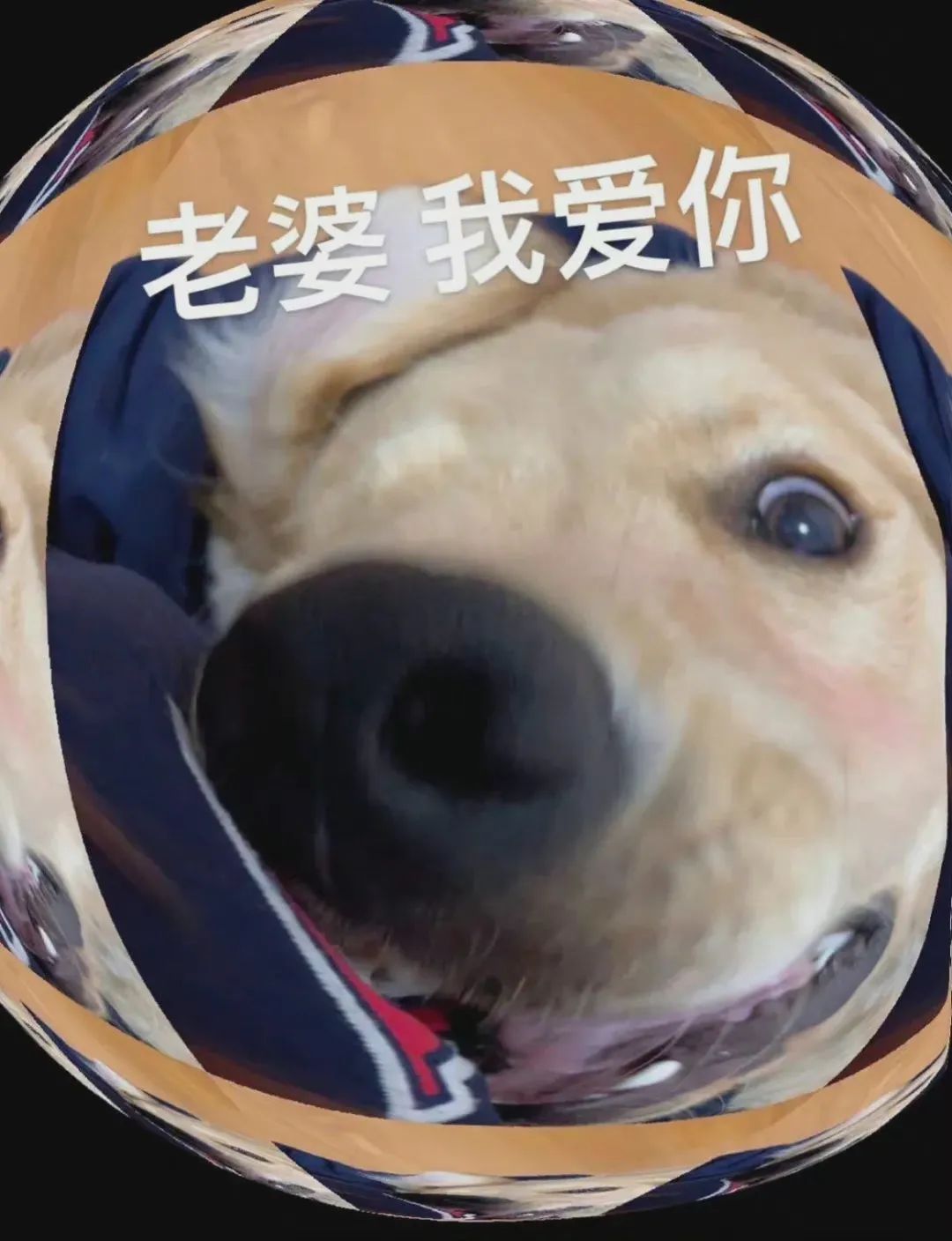 图片[10]-老子要亲死你-喜欢表情包分享—全网表情包