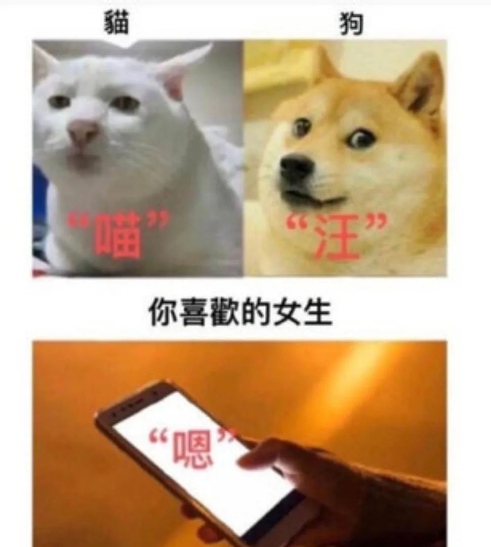 图片[1]-​舔狗日记 NO.709-喜欢表情包分享—全网表情包