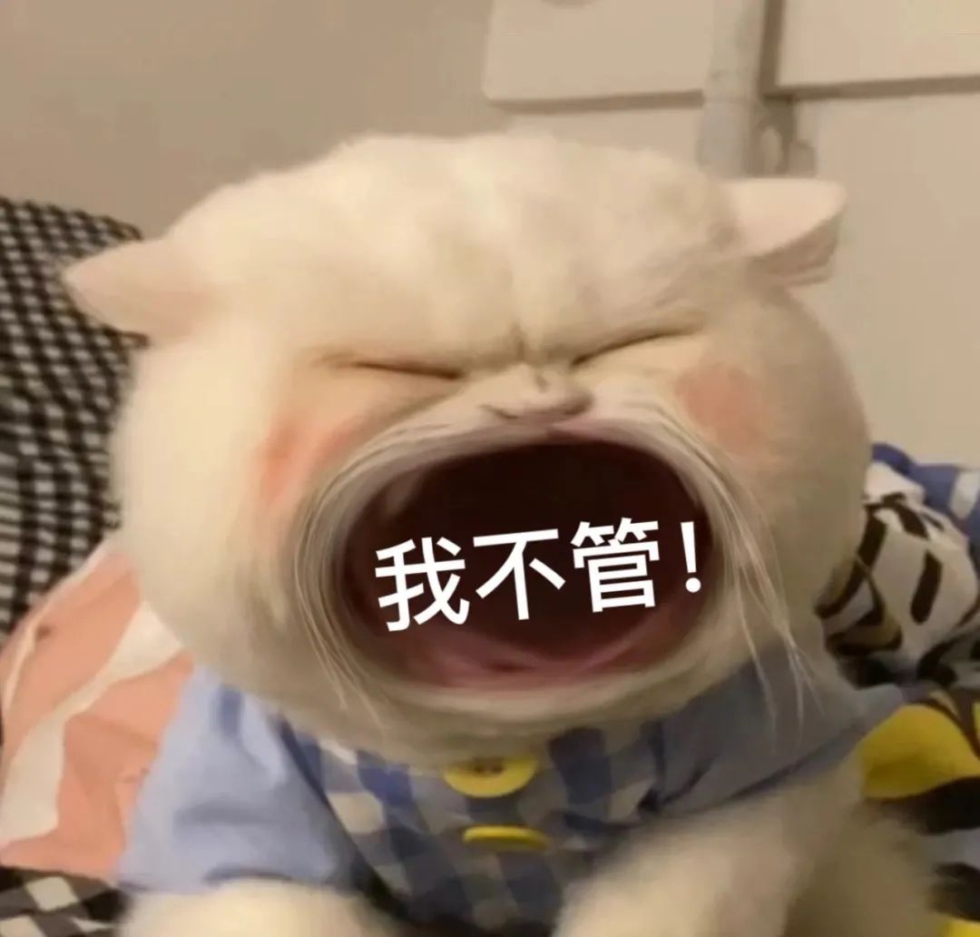 图片[22]-45个聊天撒娇必用大嘴猫表情-喜欢表情包分享—全网表情包