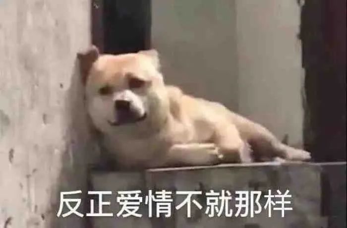 图片[5]-你好会哦-喜欢表情包分享—全网表情包