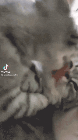 图片[1]-【GIF】啊…这…-喜欢表情包分享—全网表情包