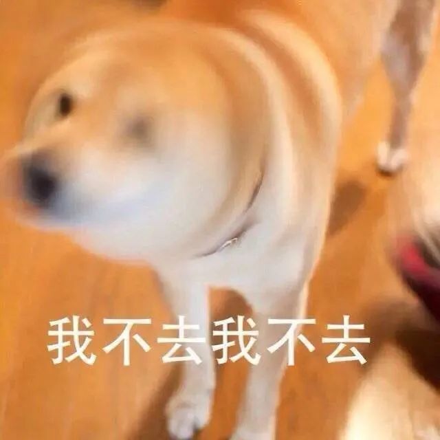 图片[8]-我就是缠你的身子-喜欢表情包分享—全网表情包