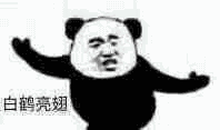 图片[69]-032 表情包还得是熊猫头-喜欢表情包分享—全网表情包