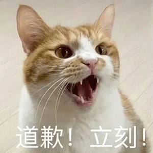 图片[6]-有黑丝吗-喜欢表情包分享—全网表情包