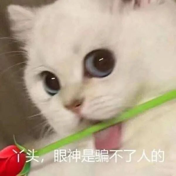 图片[13]-做我的女孩，我看行！-喜欢表情包分享—全网表情包