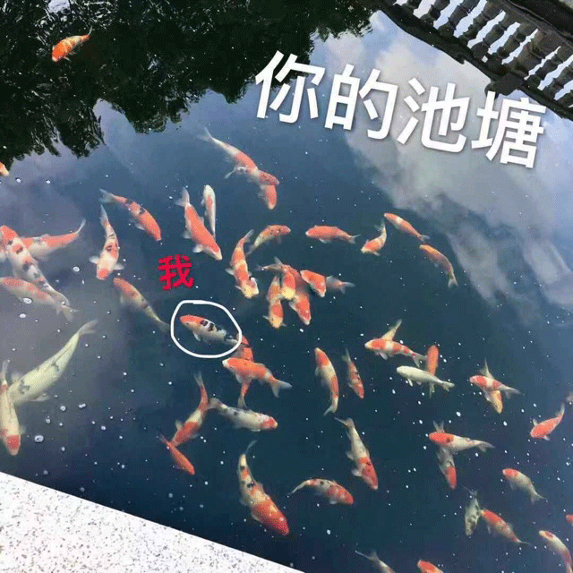 图片[11]-转账给你哟-喜欢表情包分享—全网表情包