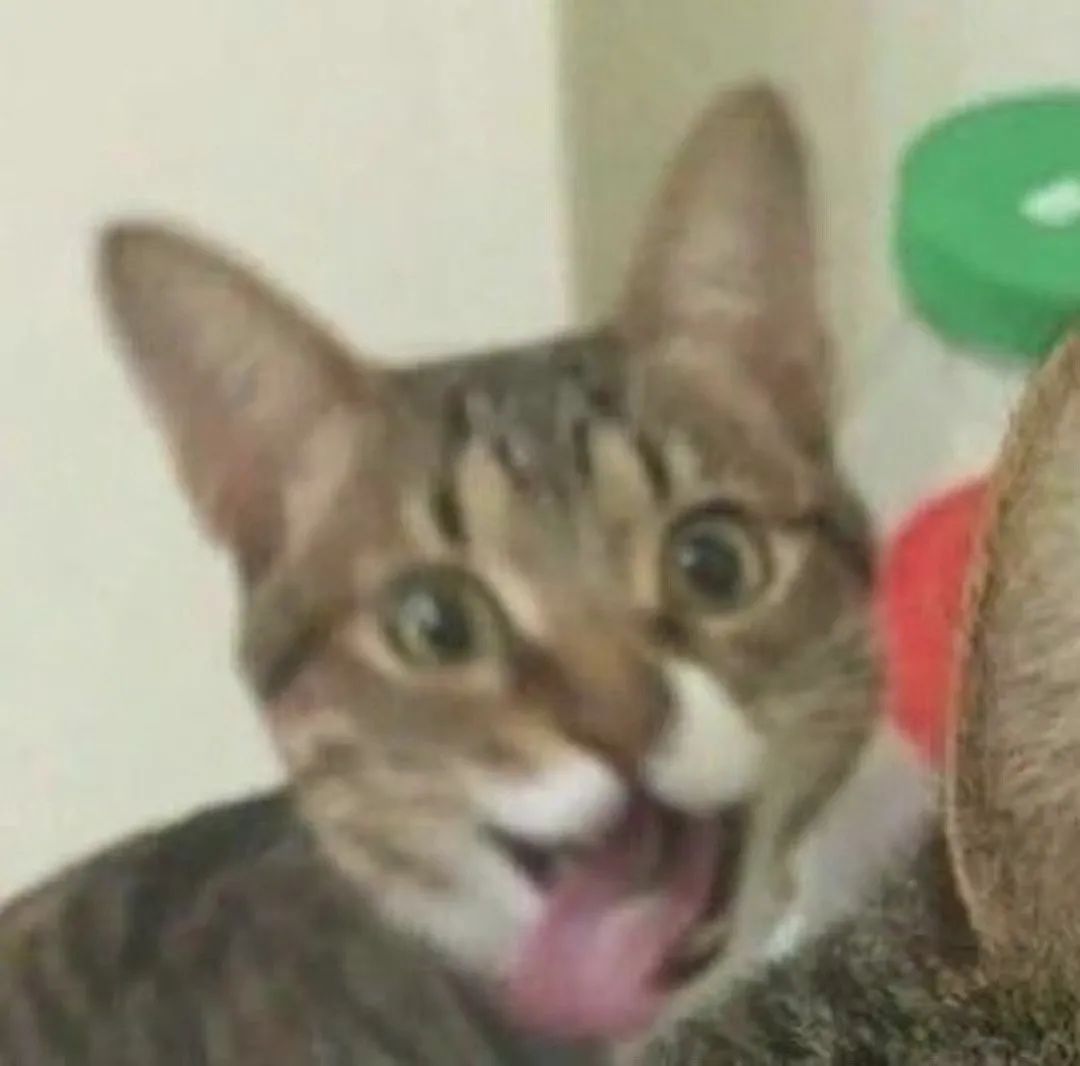 图片[9]-可爱的猫猫头增加了-喜欢表情包分享—全网表情包
