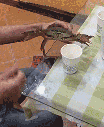 图片[1]-【GIF】哈哈哈嗝哈哈哈-喜欢表情包分享—全网表情包