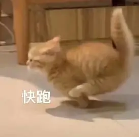 9189e01f1ea879988a0629d1af3969c8