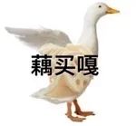 图片[23]-藕买嘎-喜欢表情包分享—全网表情包