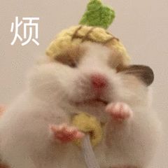 图片[5]-奇怪的表情增加了-喜欢表情包分享—全网表情包