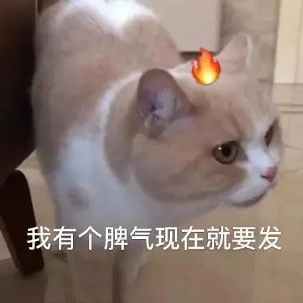 图片[11]-我闭眼了，你快亲我-喜欢表情包分享—全网表情包