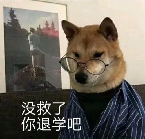 图片[10]-你别是个傻子吧-喜欢表情包分享—全网表情包
