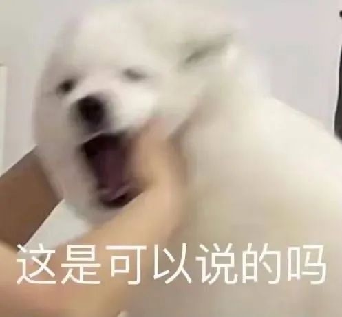 图片[5]-开摆-喜欢表情包分享—全网表情包