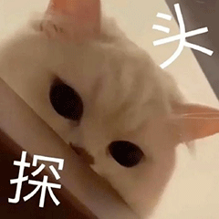 图片[14]-你要点脸-喜欢表情包分享—全网表情包