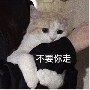 图片[10]-爷鬼混回来了-喜欢表情包分享—全网表情包