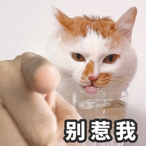 图片[7]-你在教我做事？-喜欢表情包分享—全网表情包