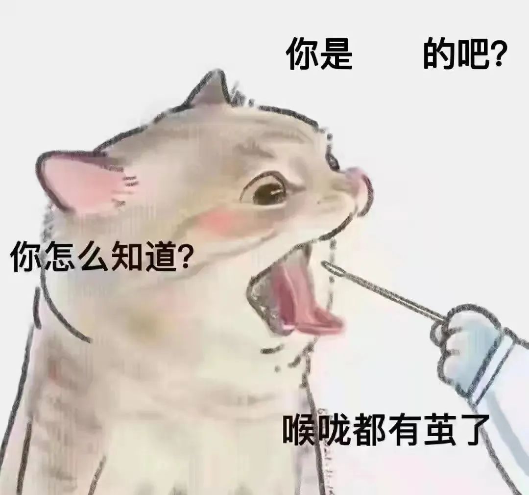 图片[10]-帅锅的事 你少管-喜欢表情包分享—全网表情包
