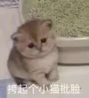 图片[17]-伤心流泪猫猫头表情包-喜欢表情包分享—全网表情包