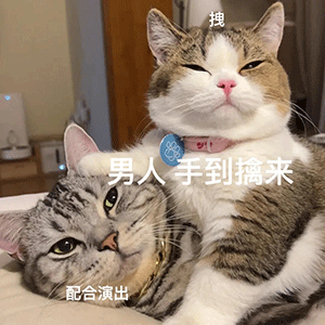 图片[4]-果然是在做羞羞的事啊-喜欢表情包分享—全网表情包