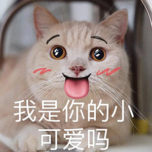 图片[8]-有黑丝吗-喜欢表情包分享—全网表情包
