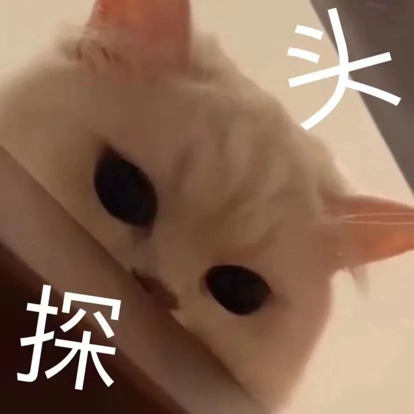 图片[49]-宝！亲我这里！-喜欢表情包分享—全网表情包