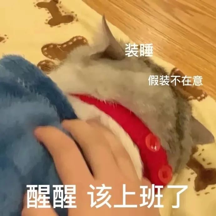 图片[12]-表情包-喜欢表情包分享—全网表情包