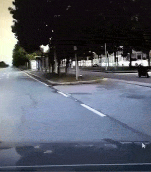 图片[1]-【GIF】啊…这…-喜欢表情包分享—全网表情包