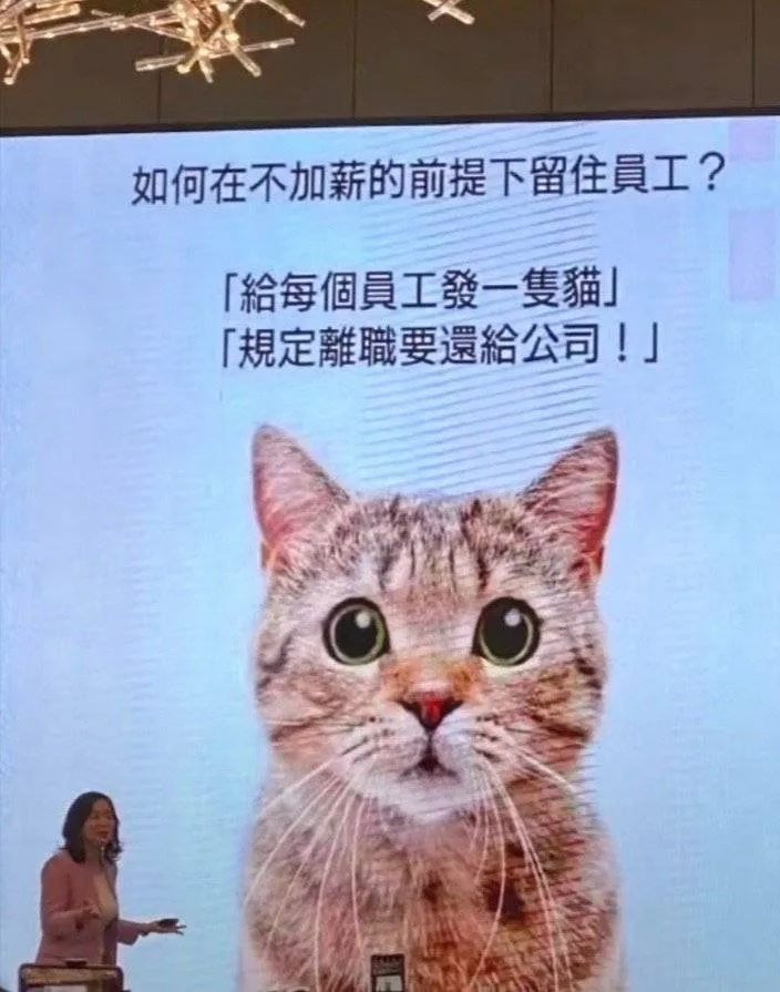 图片[12]-今晚来我房吗-喜欢表情包分享—全网表情包