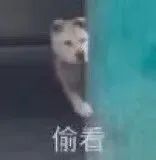 图片[1]-你才憨憨呢，你最憨！！-喜欢表情包分享—全网表情包